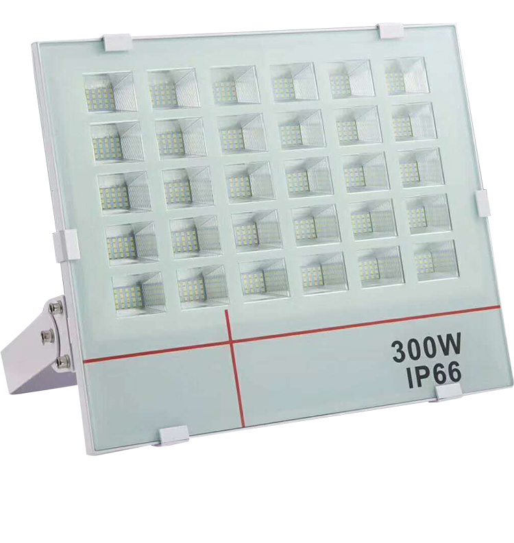 中国制造商新设计 IP66 户外铝白色 LED 泛光灯