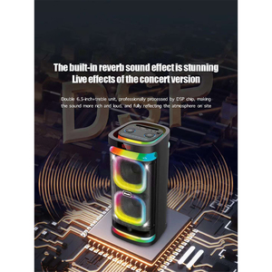 最受欢迎的2025双6.5英寸便携式DJ卡拉ok扬声器，带2个麦克风和RGB发光二极管迷你派对充电户外扬声器 - Product Image 2