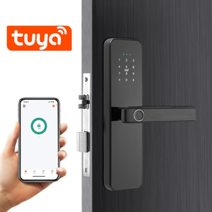 EIYSIE sin llave en idioma árabe compatible con la aplicación WiFi tuya control remoto por manija del teléfono cerradura de puerta inteligente Venta caliente FÁBRICA DE China