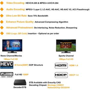 24 Tuner <strong>DVB</strong>-S2 <strong>DVB</strong>-T ISDB-T <strong>DVB</strong>-C to Digital RF Modulator With Loop Usb Led Asi <strong>Ip</strong>