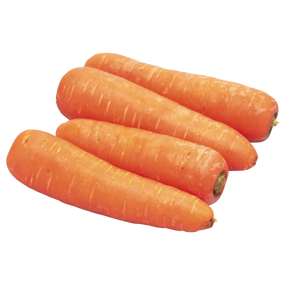 Harga grosir wortel Harga segar per ton dari Cina