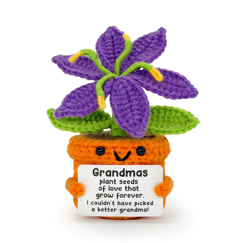 Plante en pot : lys violet et orange.