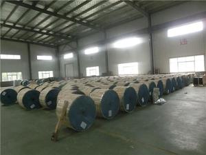 Cabo Singelo De Aluminio XLPE 0.6/1kV 10 16 25 35 50 70 95 120 <strong>150</strong> 185 240 300 Mm2