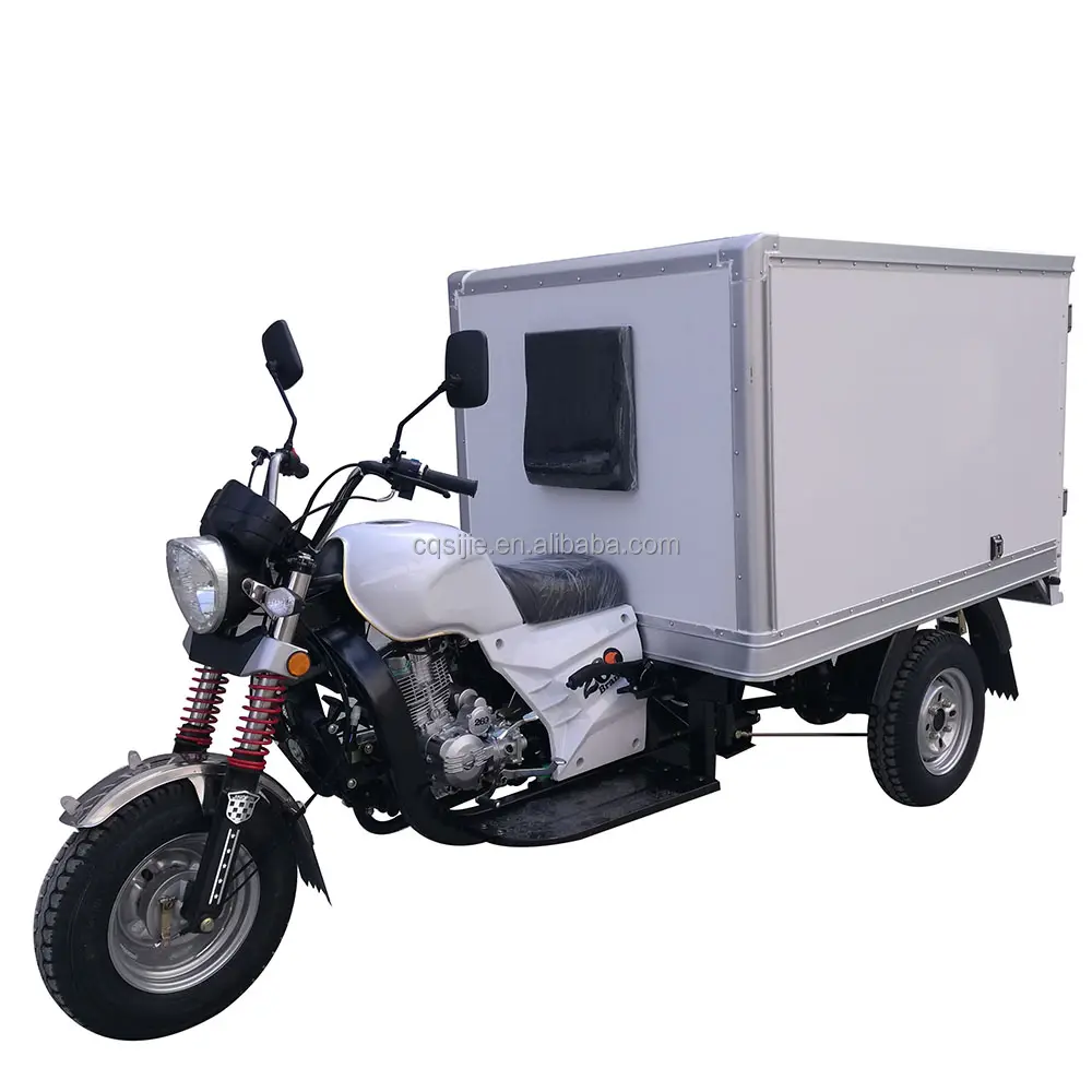Fabbricazione professionale cargo adulto moto 3 ruote del triciclo per la vendita