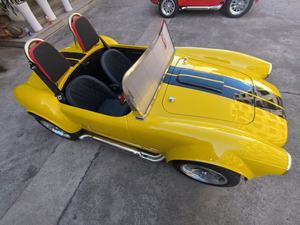 Cobra araba elektrikli yarış Go Kart sepeti 2 koltuklar 2200W yüksek güç 50 KM/h yetişkinler için yüksek hız 50KM aralığı açık yol