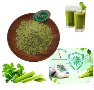 Bubuk ekstrak daun seledri 10:1 kemurnian tinggi untuk dukungan tekanan darah peradangan - Product Image 1
