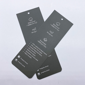 0.3Mm Độ Dày Biểu Tượng Cá Nhân Hình Chữ Nhật Bán Buôn Tông Quần Áo Treo Thẻ Nhãn Với Chuỗi - Product Image 4