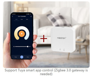 PZ2 2 in 1 LEDコントローラーZigbee 3.0 2.4G出力最大20A明るさと色温度調整可能なサポートプッシュ調光 - Product Image 5