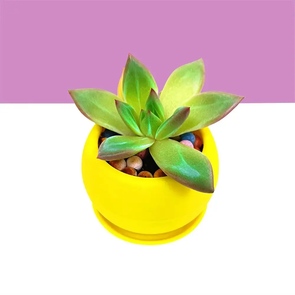 Новая суккулентная прямая Настольная Ваза из смолы, полезные Силиконовые формы для растений, ваза для цветов, ваза из смолы