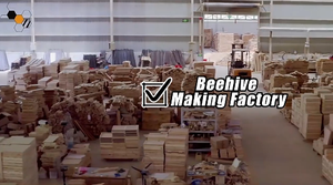 New giá rẻ gỗ <span class=keywords><strong>langstroth</strong></span> tổ ong sâu một lớp 10 khung <span class=keywords><strong>Bee</strong></span> phát ban Box với phụ kiện trang trại sử dụng thiết bị nghề nuôi ong - Product Image 3