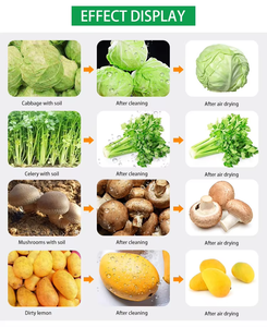 果蔬红枣豆芽清洗分级分选洗涤干燥机线气泡清洗机 - Product Image 4