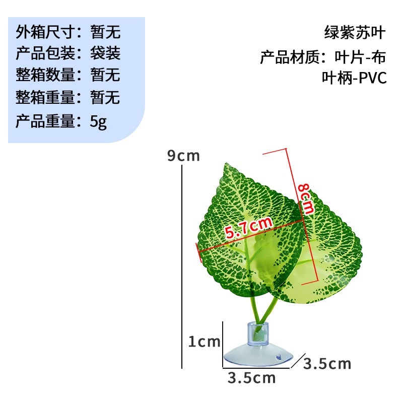 Feuilles de périlla verte