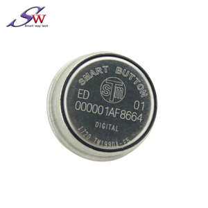 64-bit Access Control DS Ibutton <strong>Key</strong> Tags TM1990 Cards DS1990A-F5 Ibutton <strong>Keys</strong> with ID Number Unique and Secure - Product Image 1