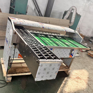 Macchina di classificazione delle uova industriale completamente automatizzata con classificazione del peso sistema di confezionamento per la lavorazione delle uova di gallina - Product Image 2