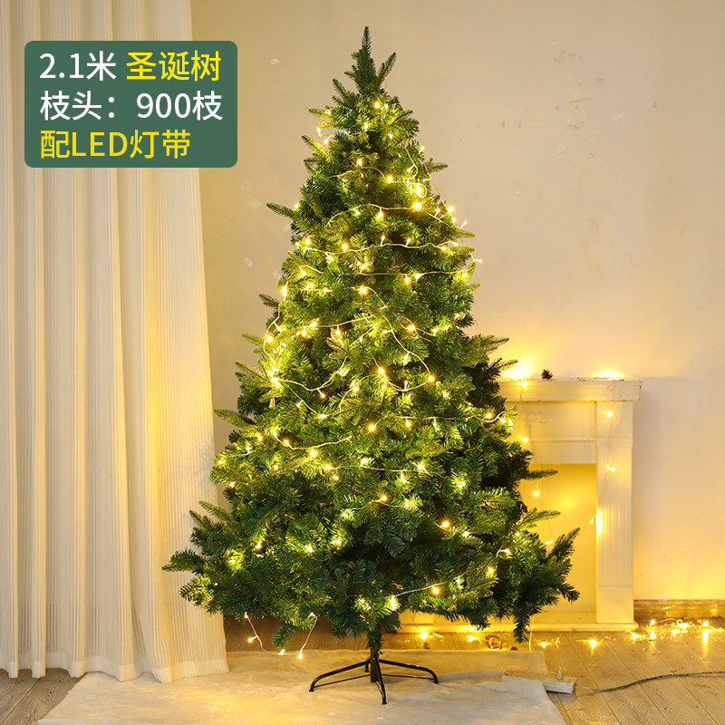 21m auto encryption tree-pe hybrid with lights