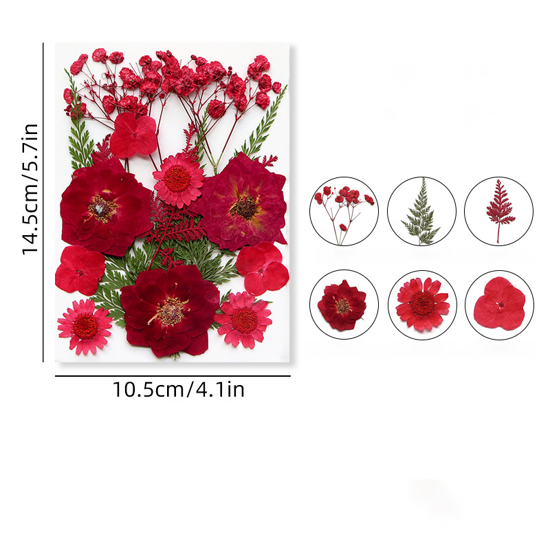 15 (16-23pcs)