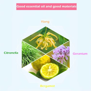 Hot Bán Chất Lượng Cao 500 Ml Hương Thơm Dầu Cao Tập Trung Lâu Dài Khuếch Tán Hương Thơm Dầu - Product Image 3