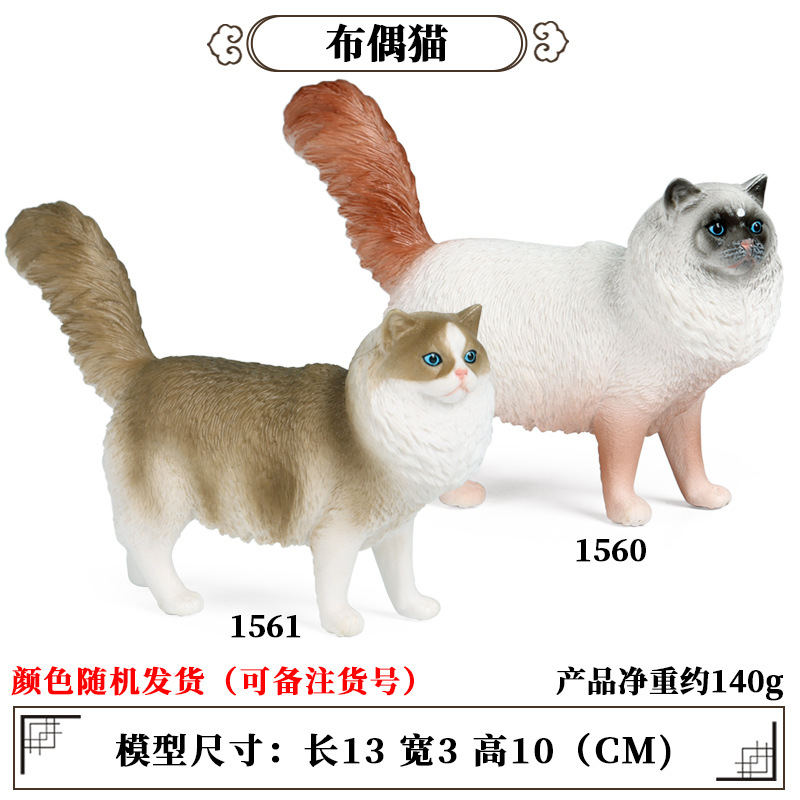 Chat Ragdoll (1 aléatoire sur 2 styles)