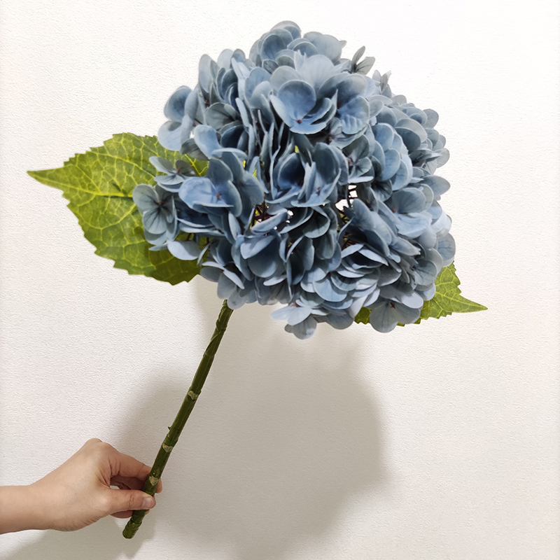 blu 4