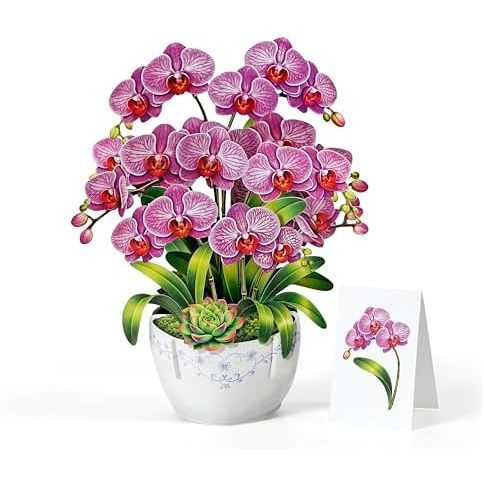 Ramo de orquídeas