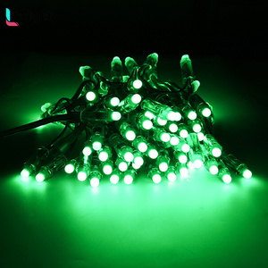 DC 5V DC12V WS2811 Digitale LED Pixel punkt LichtWS2811 RGB IC Farb veränderbar IP68 wasserdicht 0,3 W Smart LED Modul Licht