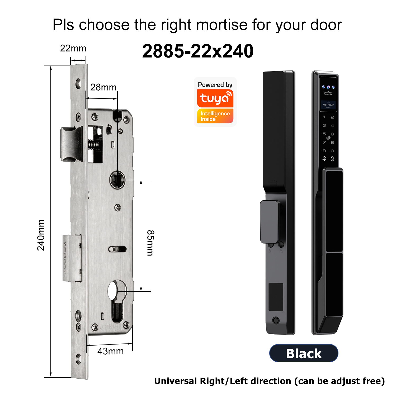 Z5 with 2885 Swing Single-point Mortise(22x240mm)