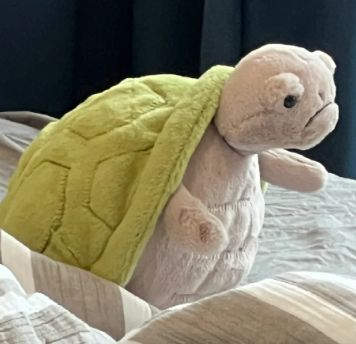 ทิมมี่ เทอร์เทิล