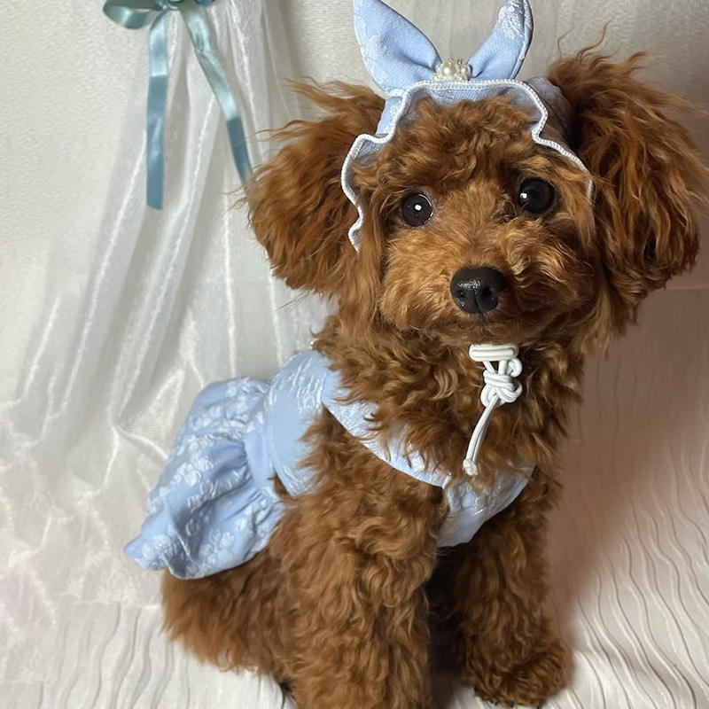 Robe bleue + épingle à cheveux