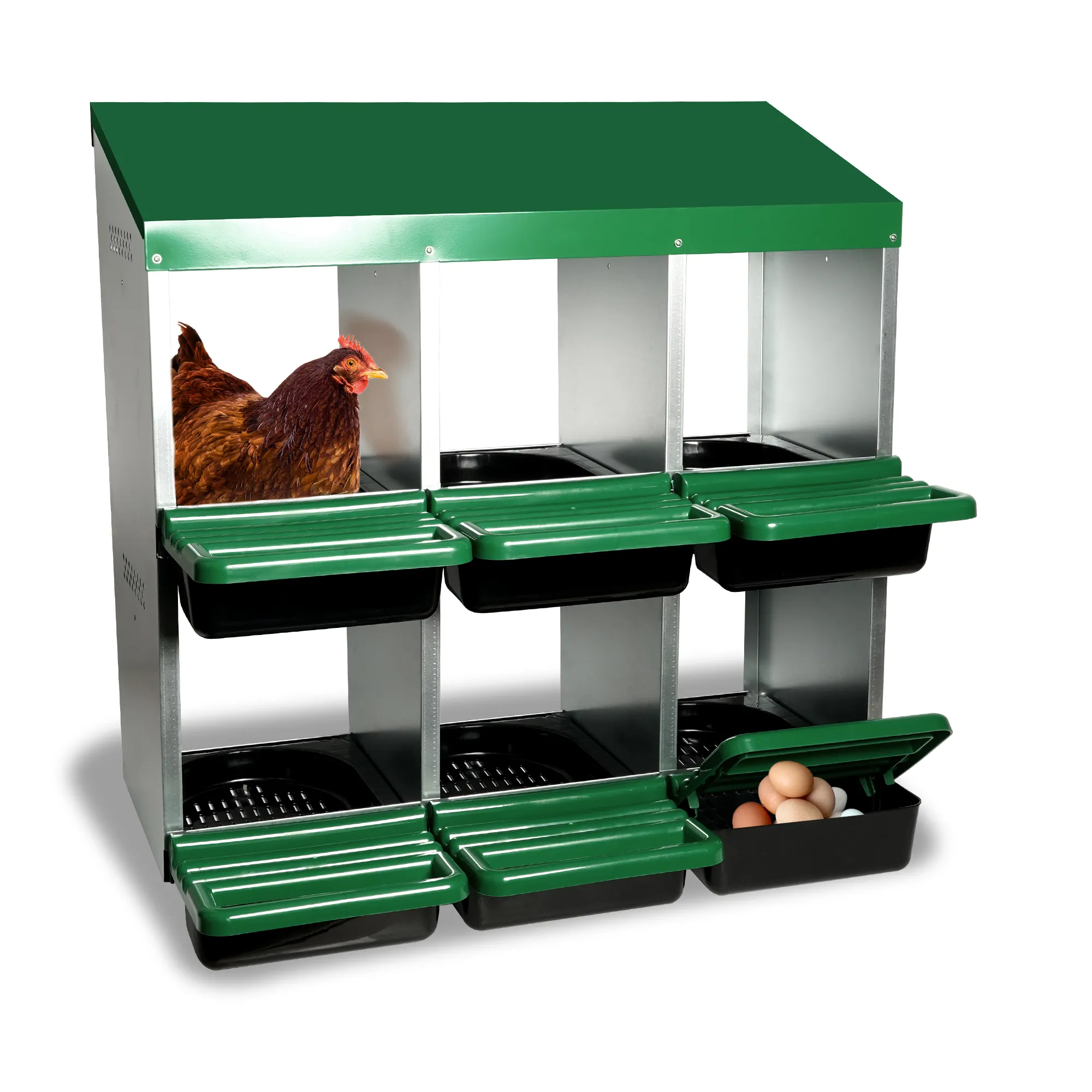 Caja de colocación de pollo de metal de color verde de 6 agujeros con colección de huevos enrollables