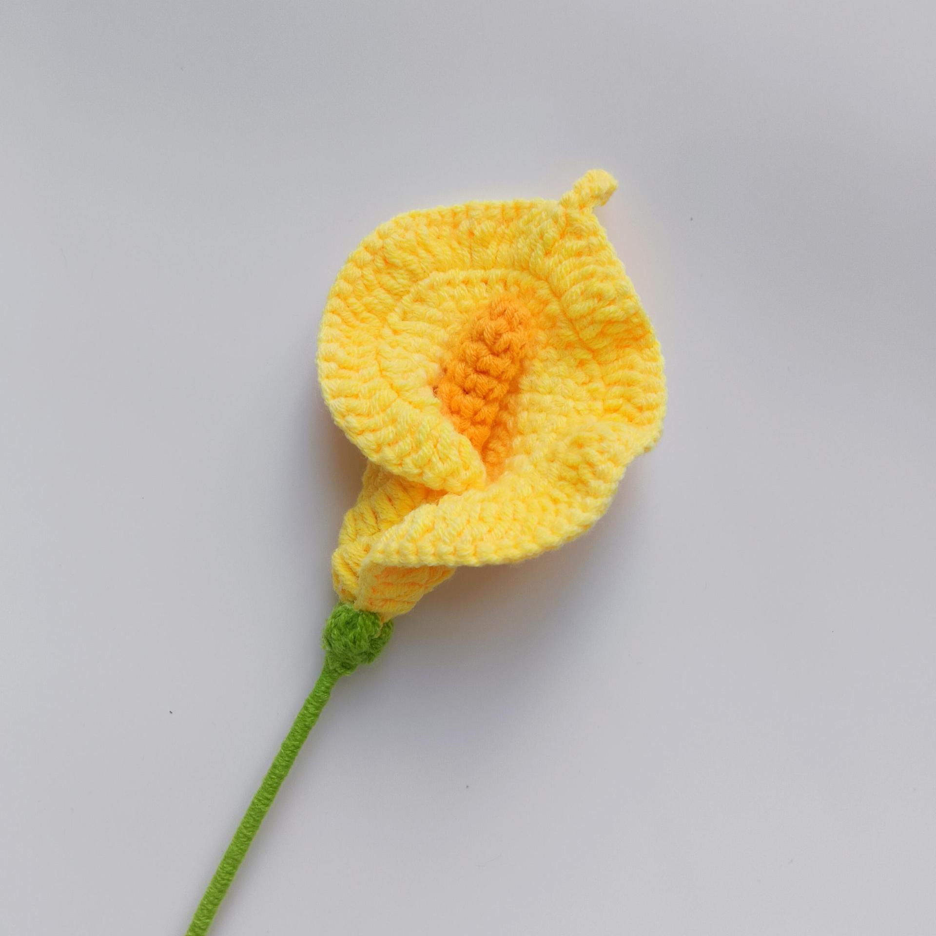 Lys calla, couleur jaune crème