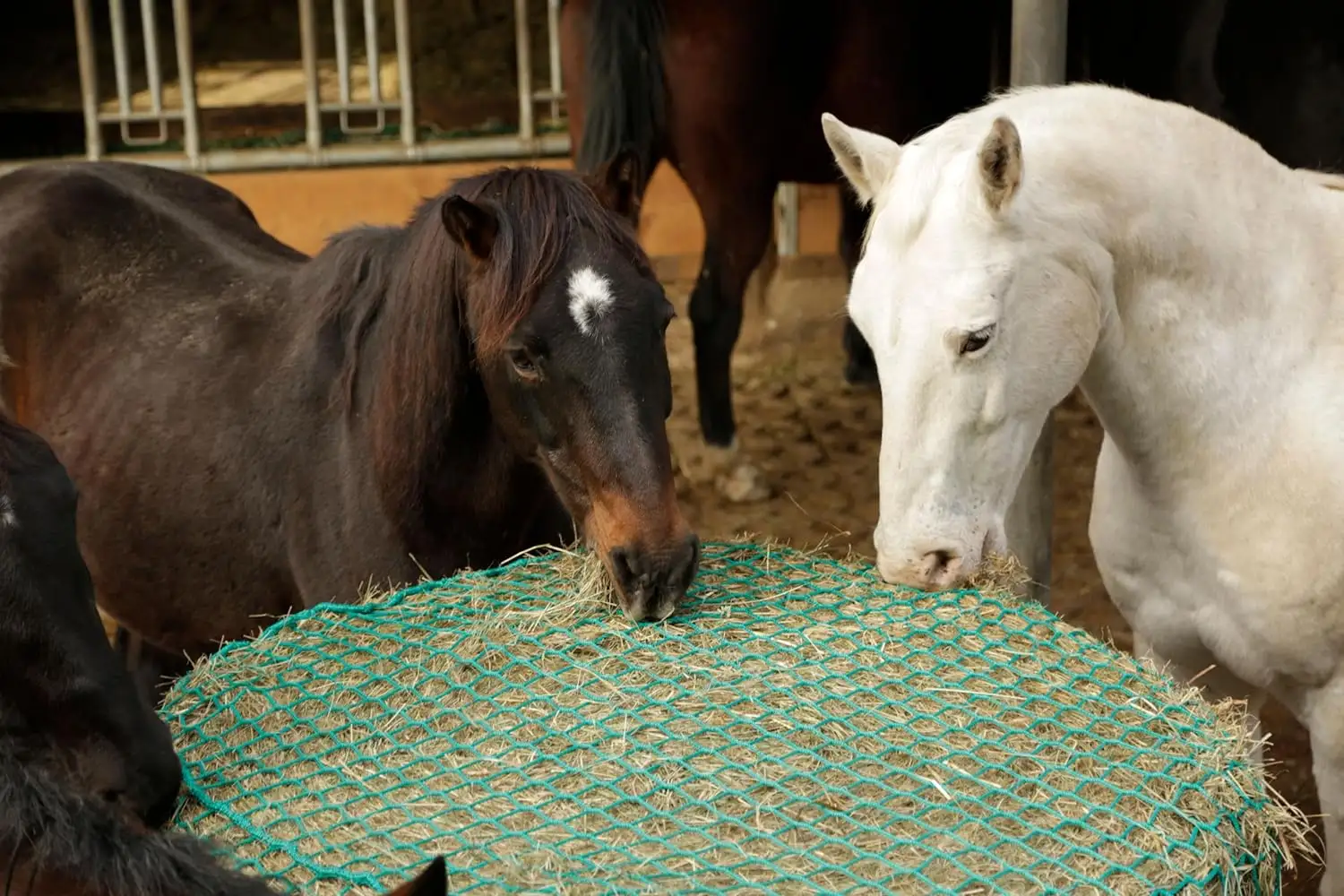 Alimentador de feno de cavalo com rede de plástico PP de malha de 45 mm para uso agrícola