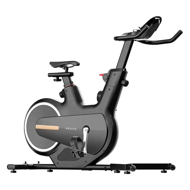 CIAPO-bicicleta giratoria profesional, cicla de spinning magnética para interiores, de 8kg volante de inercia, venta al por mayor