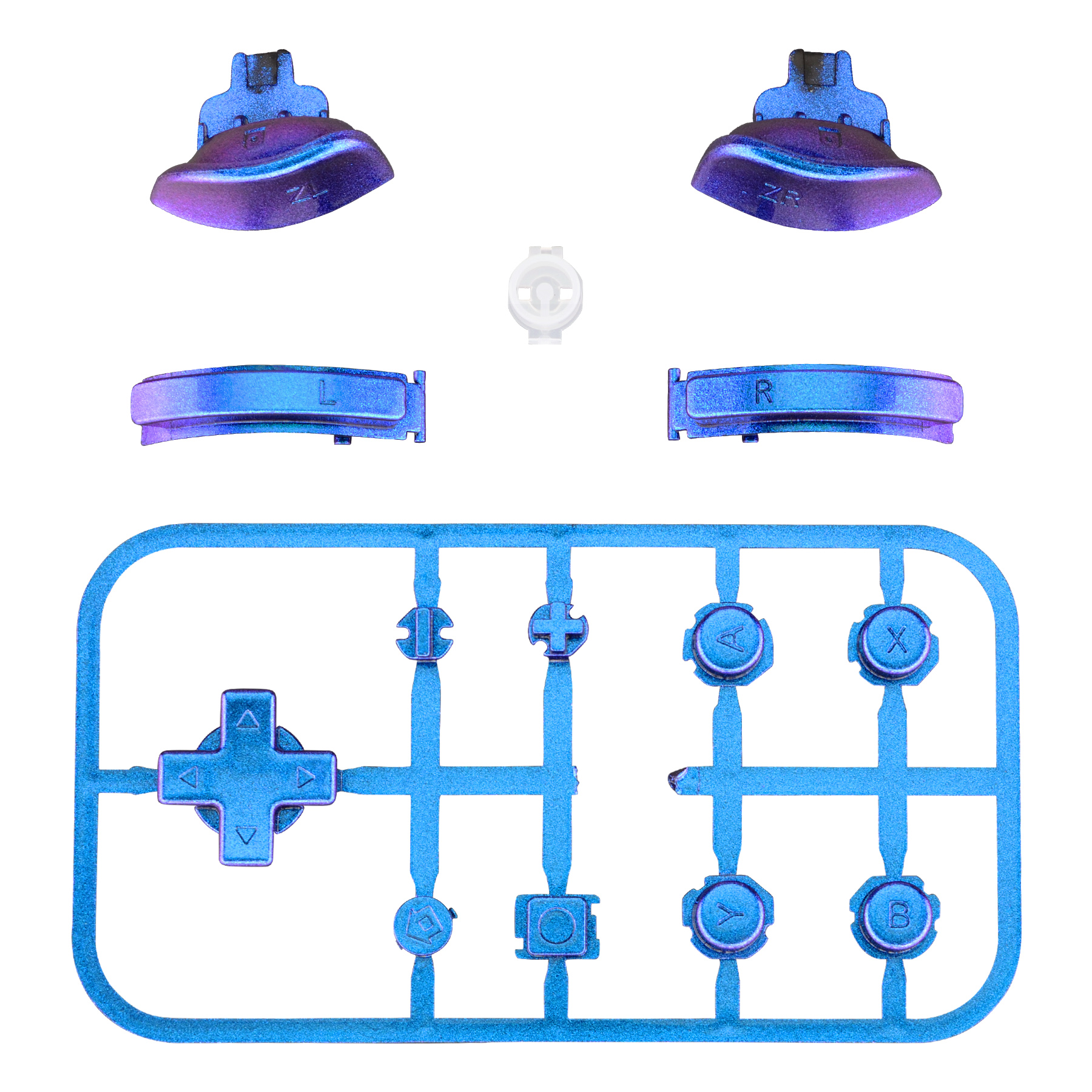 Camaleón azul violeta HL501WS