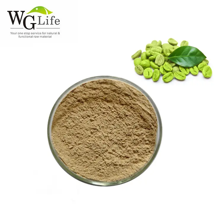 Fornitura di fabbrica estratto di chicchi di caffè verde naturale di alta qualità in polvere 98% acidi clorogenici ingredienti dimagranti