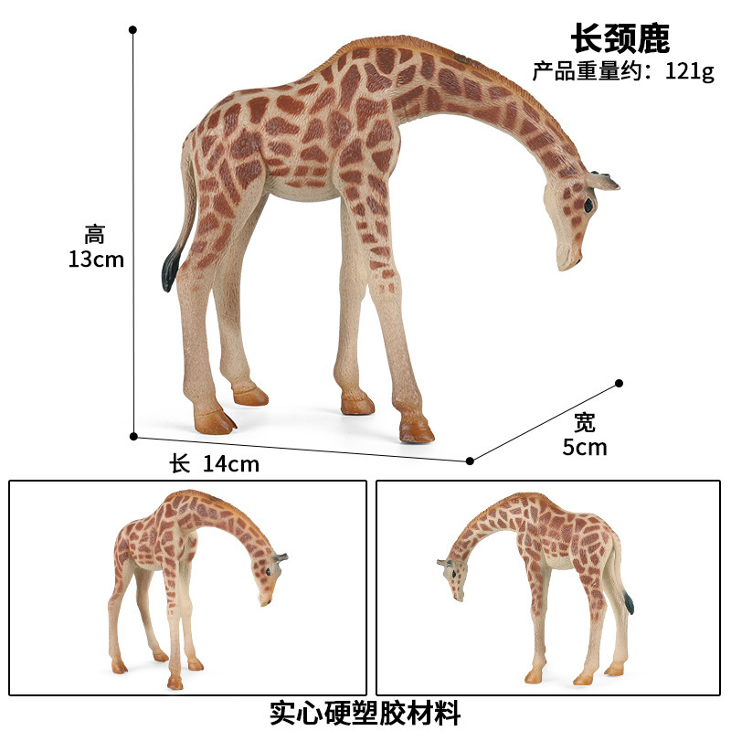 zjs-065Giraffe