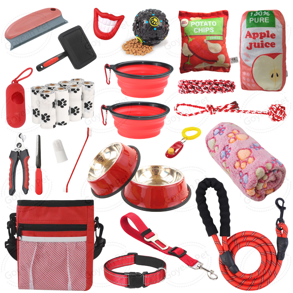 31 Packs-Red