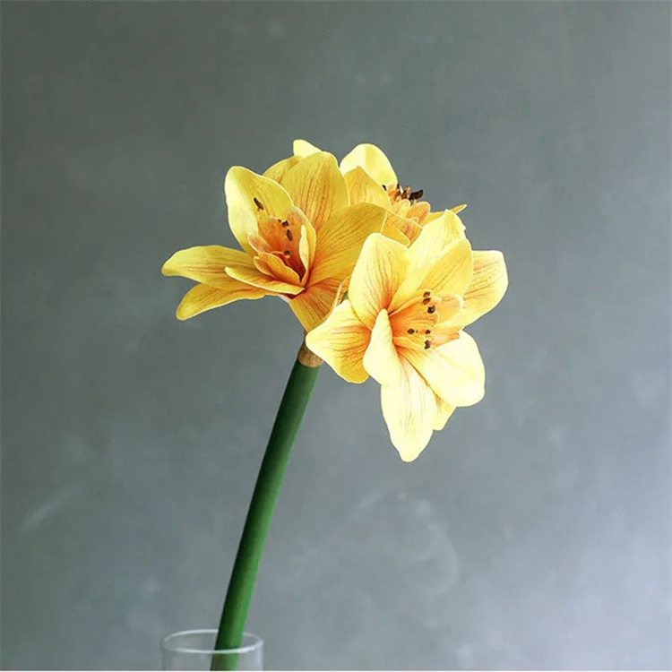 Jaune