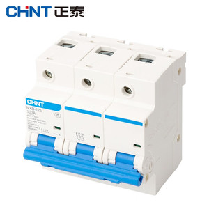 Alta resistencia a la temperatura NXBLE-125 2 polos Plaza d chint interruptor en miniatura - Product Image 6
