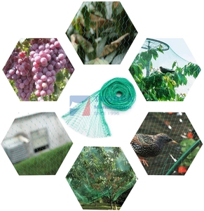 HDPE Anti <strong>Bird</strong> protection <strong>Net</strong> Agricultural Anti <strong>Bird</strong> Netting Anti <strong>Bird</strong> Netting for <strong>Garden</strong> - Product Image 3