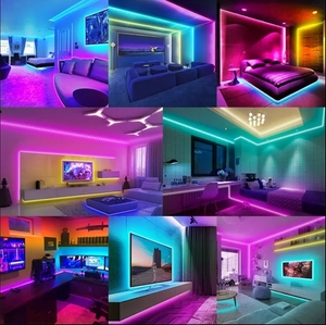 IP67 WS2811 SPI kontrollü piksel sihirli RGB 24v Neon şerit Led kiti APP WIFI Bluetooth ve güç kaynağı ile - Product Image 6