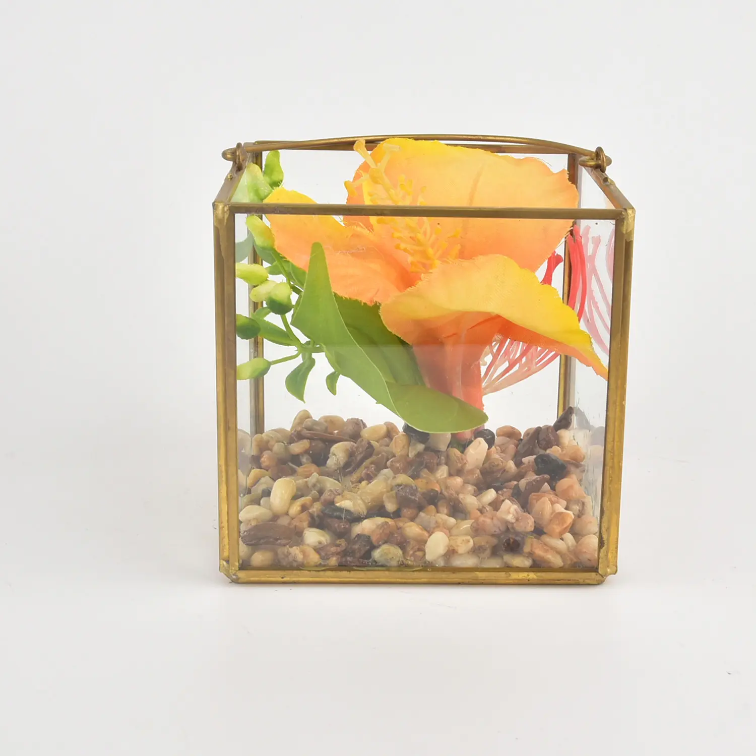 Geométrico cubo dorado vidrio suculenta fibra de vidrio metal artesanía micro paisaje maceta transparente flor casa