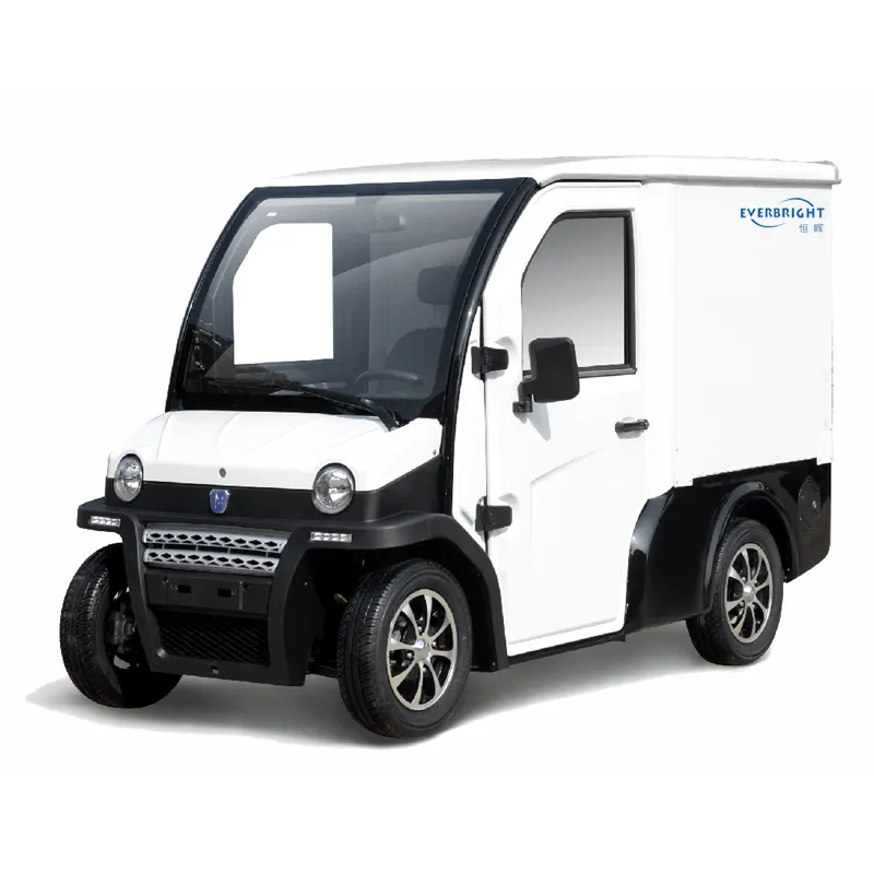 Cheaper EEC COC Strong power 60V 4000W electric mini car cargo Vehicle van with CABIN