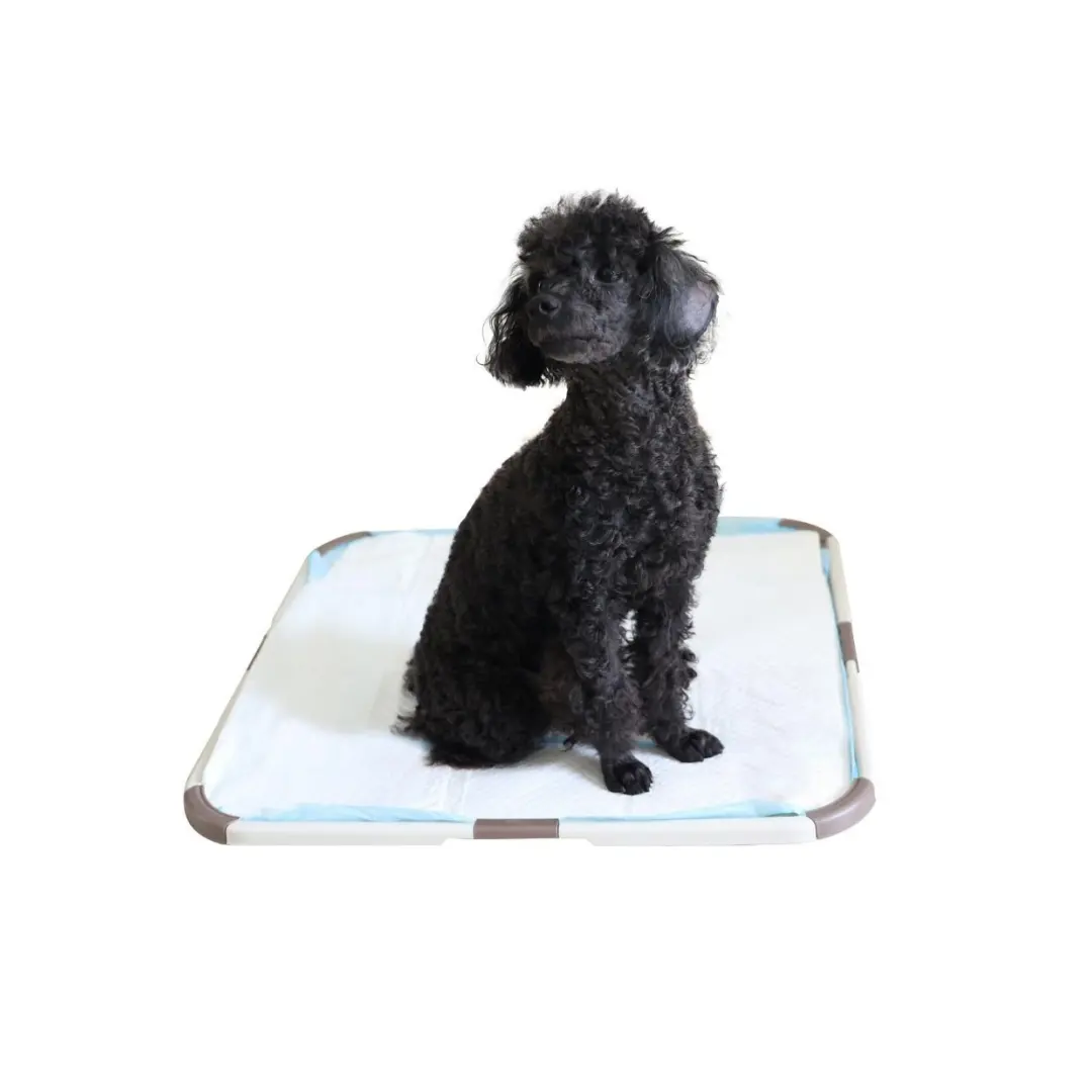 Toilet pelatihan untuk anjing persediaan hewan peliharaan dapat dilepas dilipat anjing peliharaan anjing toilet popok tray pee peepee pad pelatihan pemegang