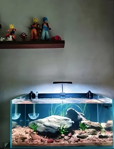 Bể cá kính gia đình cỡ lớn, kích thước tùy chỉnh, trong suốt, phẳng, chắc chắn, thiết bị bể cá đặt làm riêng cho nhà bếp & trang trí năng lượng mặt trời - Product Image 1