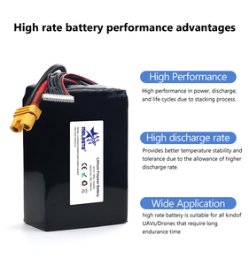 Melasta 12s 44.4v 10000/16000mah 15c 30c Lipo lityum iyon Pomer Drone pili Rc Mi Drone 4k tekne pil paketi için