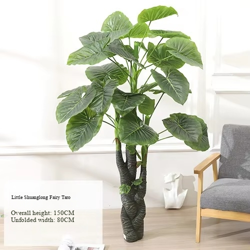 Small Double Dragon Caladium Tree (Without Pot)