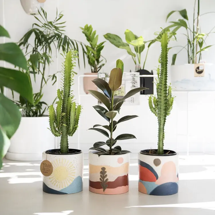 Modello moderno opaca fantasia vaso di fiori cilindro di figura europeo vasi di piante