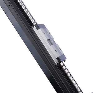 Módulo lineal accionado por husillo de bolas automático con base de acero Motor de núcleo de toboganes lineales básicos - Product Image 5