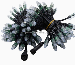 Pixel RGB LED Focos WS2811 IC Bullet LED 12V Luces de cadena de hadas direccionables para señalización al aire libre - Product Image 5