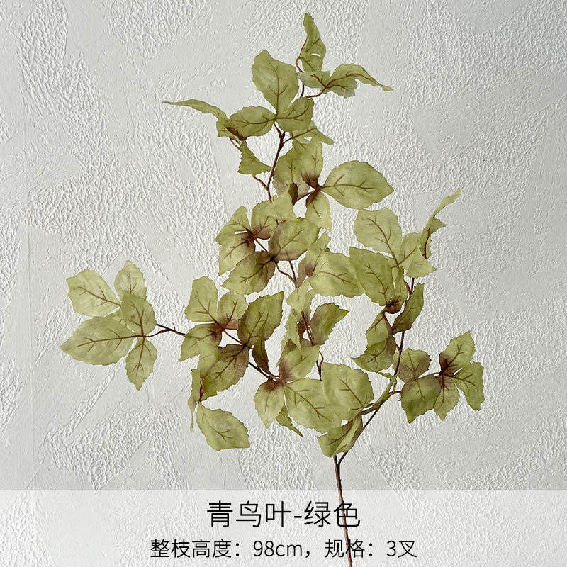 Feuilles d'oiseaux verts